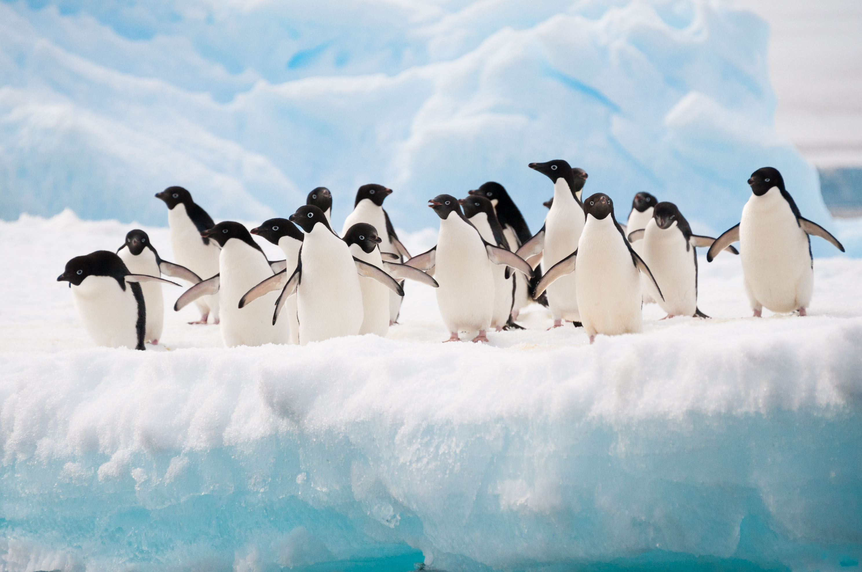 Himalayan Art at Rubin Museum