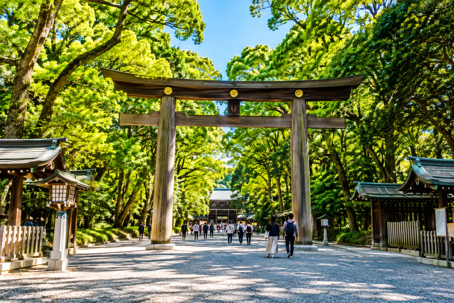 Tokyo Private Full-Day Car Tour with English-Speaking Driver-Guide