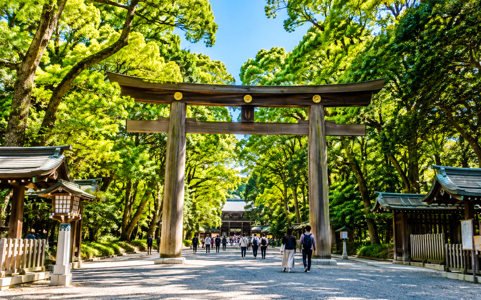 Tokyo Private Full-Day Car Tour with English-Speaking Driver-Guide