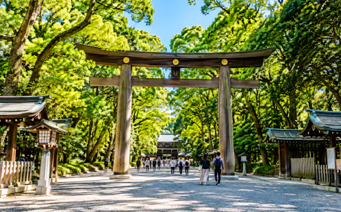 Torii gate at Meiji Shrine entrance, Tokyo, surrounded by lush trees, part of private car tour.