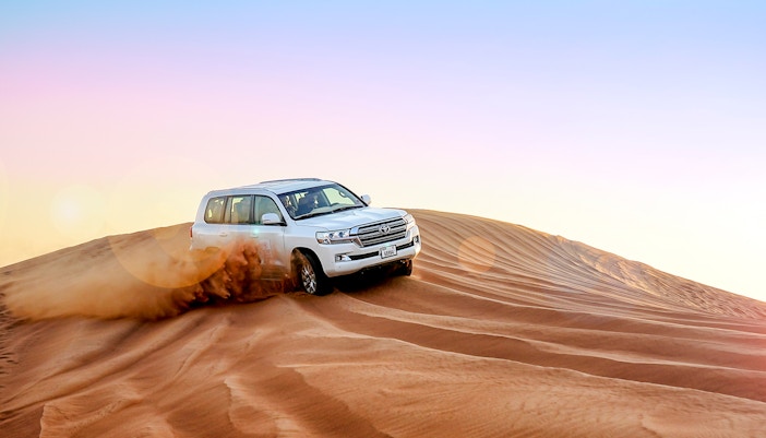 Dubai Desert Safari