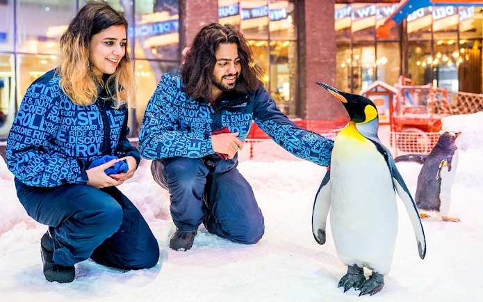 Visitors interacting with penguins at Ski Dubai Penguin Encounter.
