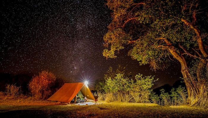 Night Safari stargazing, Africa