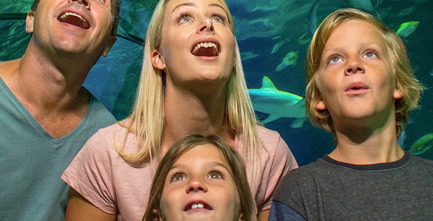 Lunar New Year Gold Coast