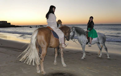 Horseback riders on a beach at sunset in Tangier's Mnar region.