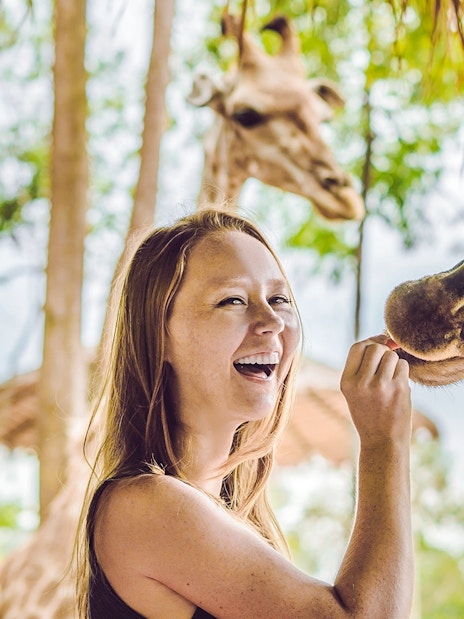 Young woman feeding a giraffe in a lush outdoor setting.
