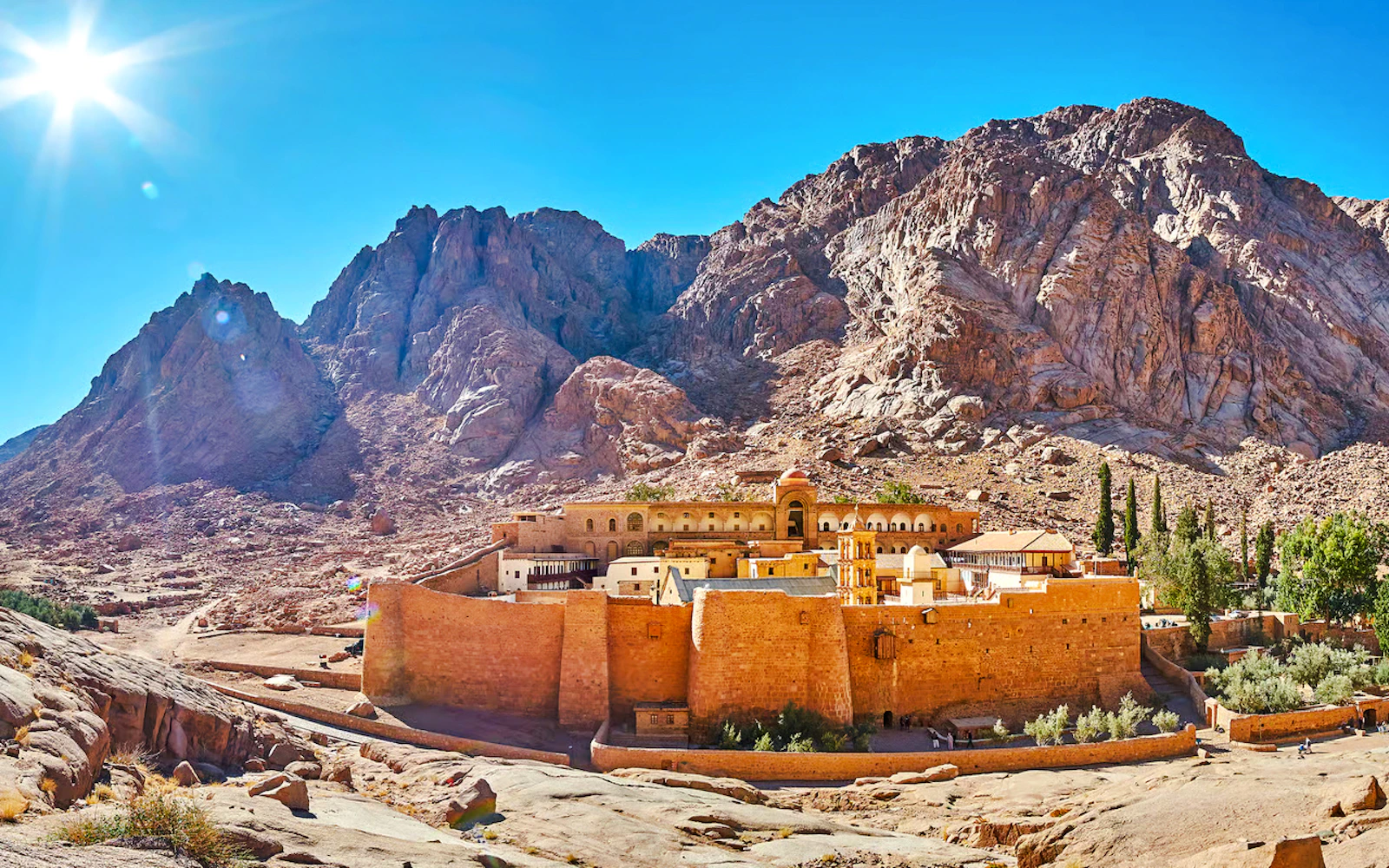 From Sharm El Sheikh: Mount Sinai Hike and St. Catherine's Monastery Tour Image 12