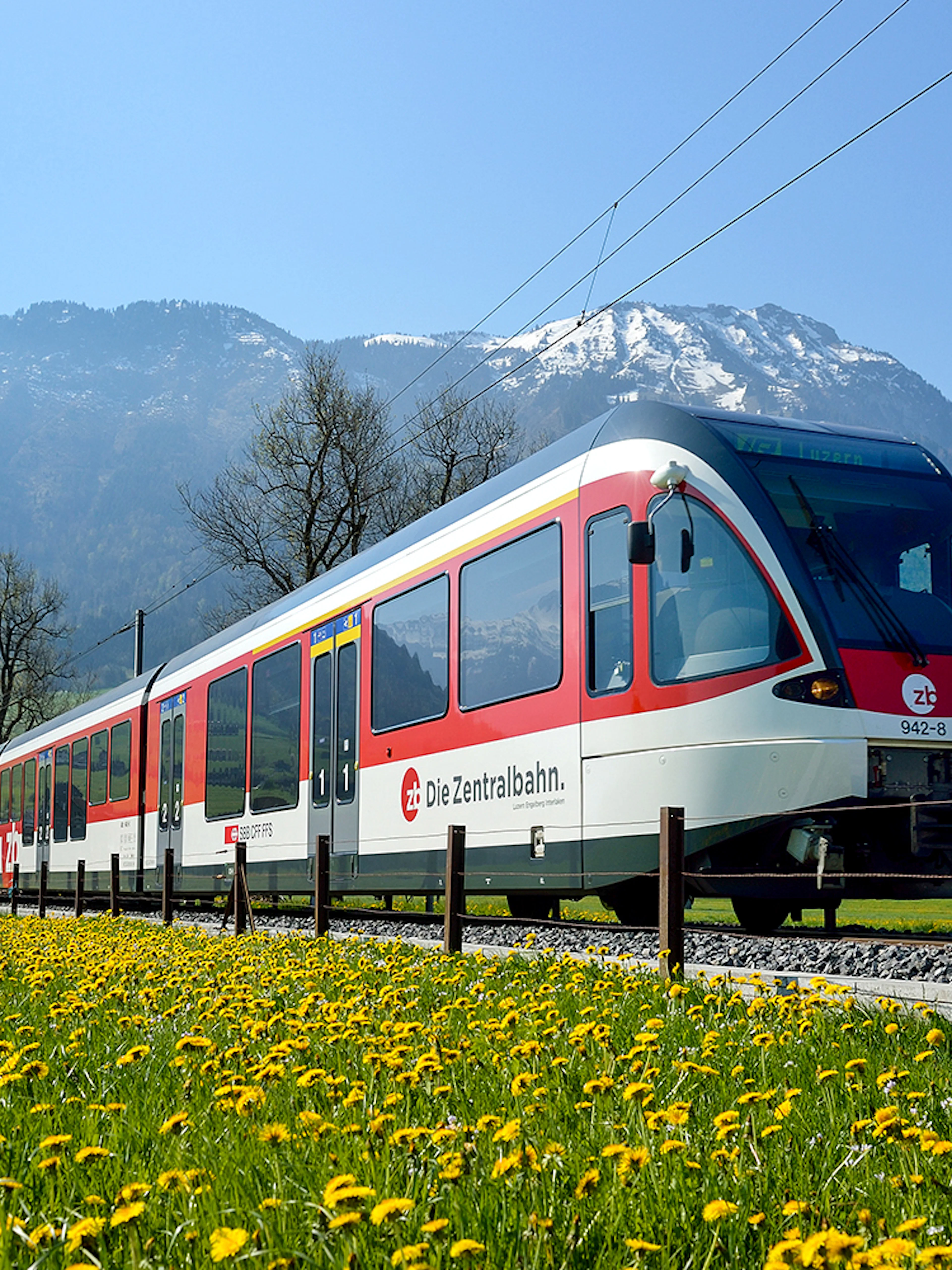 Train traveling through scenic landscapes near Lucerne, Switzerland with mountains in the background.