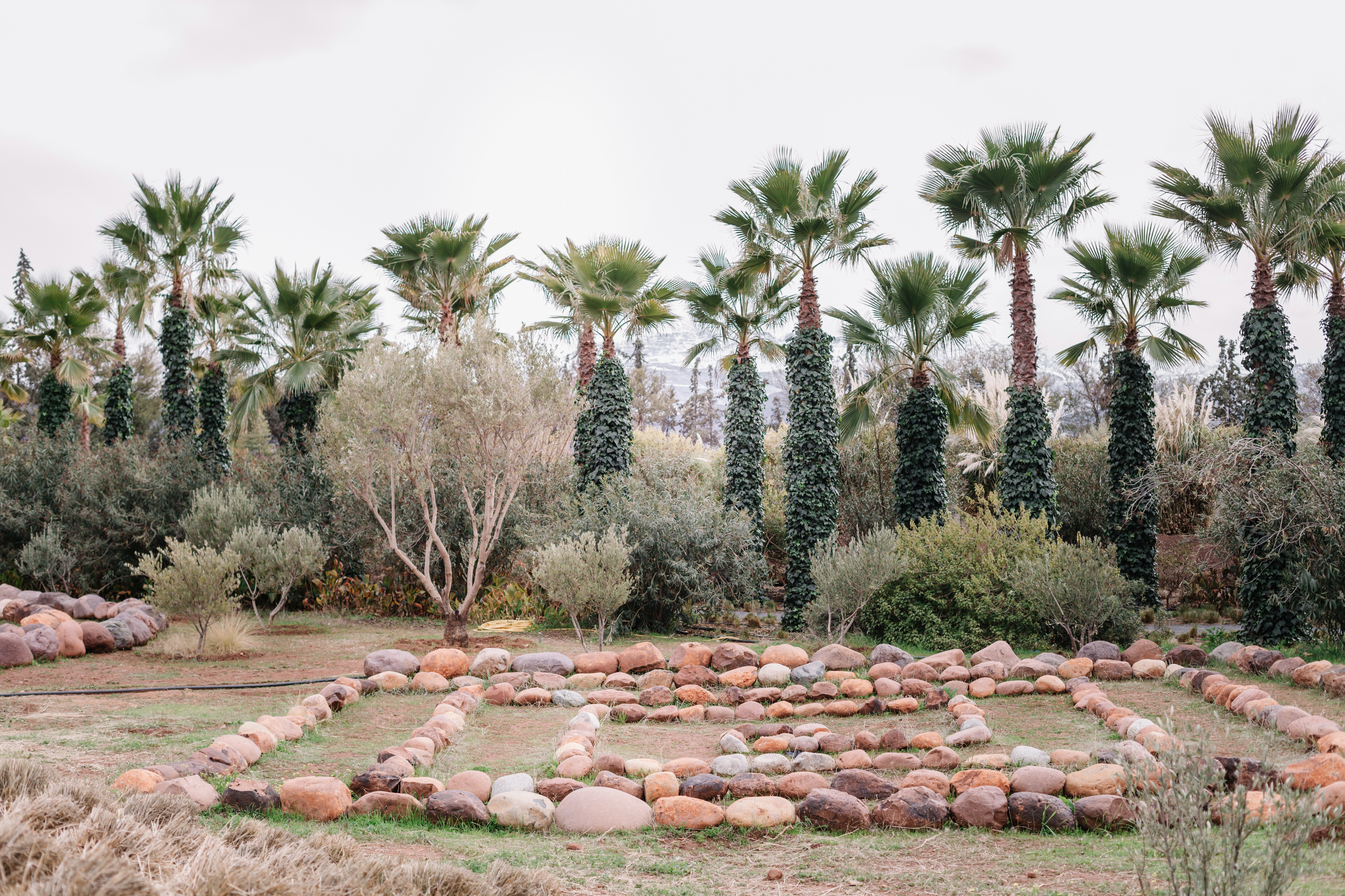 Stone pathway and palm trees at ANIMA Garden, Marrakech.