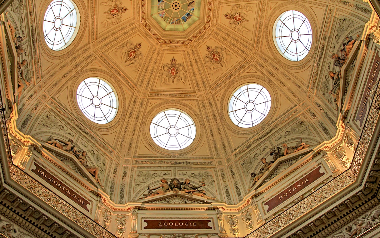 Ornate ceiling with circular windows at the Natural History Museum.