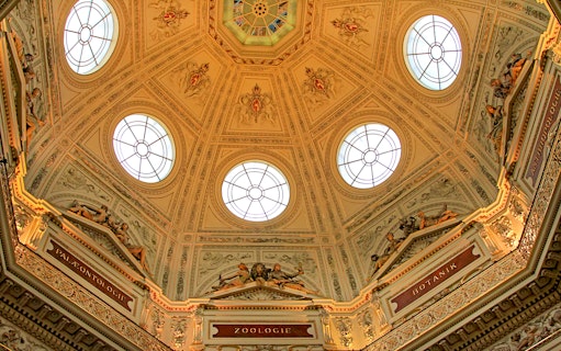 Ornate ceiling with circular windows at the Natural History Museum.