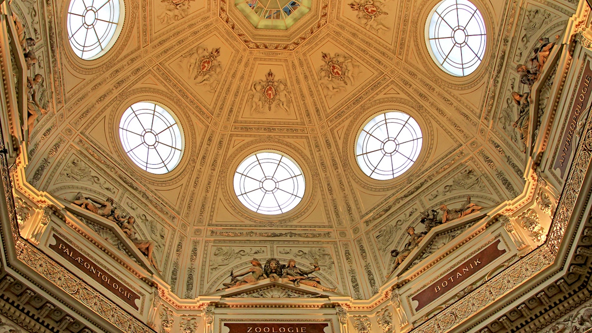 Beautiful ceiling at the Natural History Museum