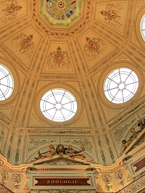 Ornate ceiling with circular windows at the Natural History Museum.