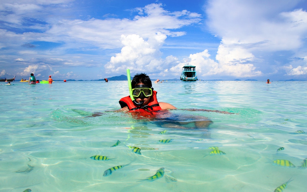 Young man snorkeling in clear waters at Phi Phi Island, Thailand with tropical fish.