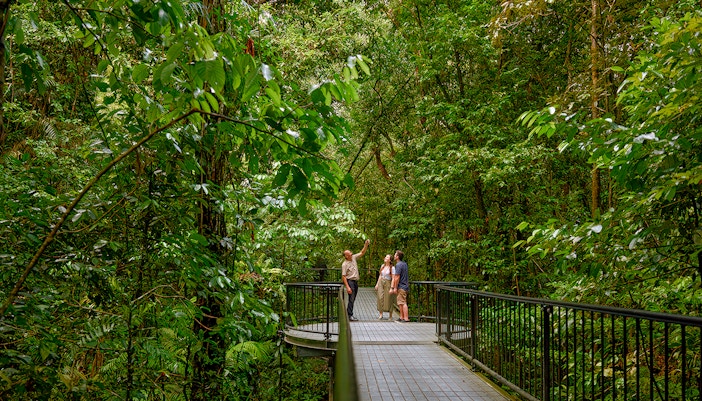 Daintree National Park