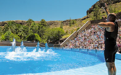 Tourist watching dolphins perform at Palmitos Park, Gran Canaria.