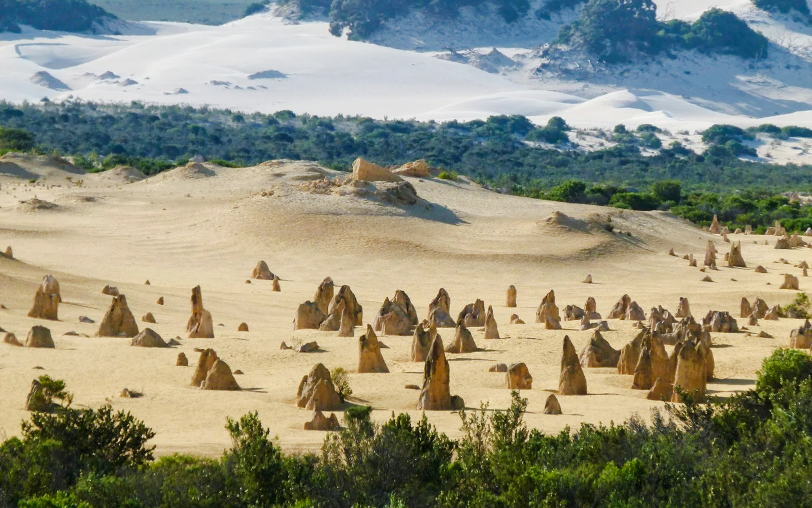 Pinnacles Desert limestone formations in Nambung National Park, Western Australia.