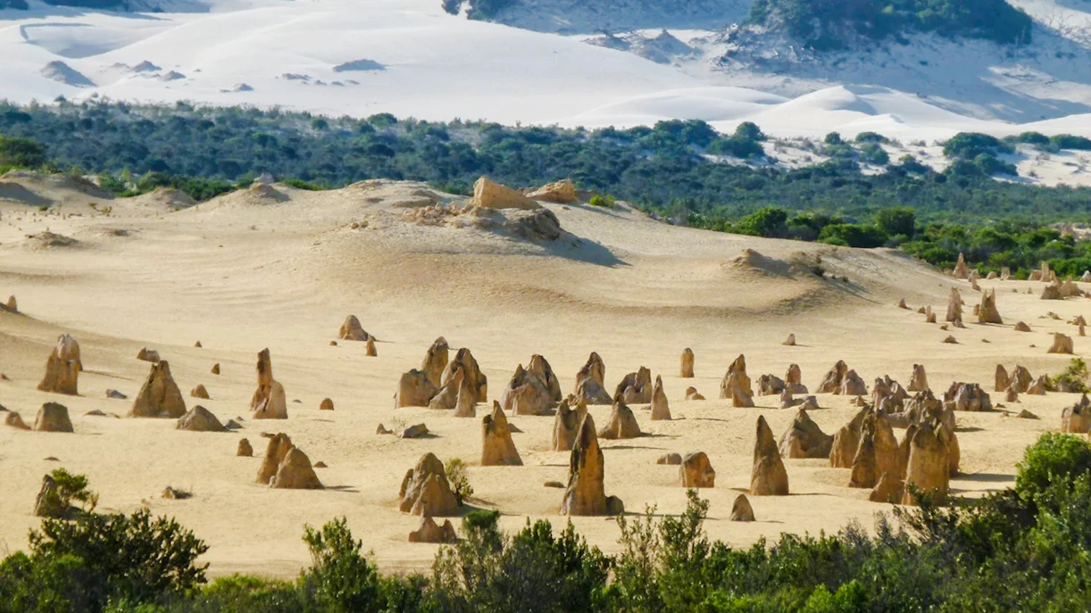 Pinnacles Desert limestone formations in Nambung National Park, Western Australia.