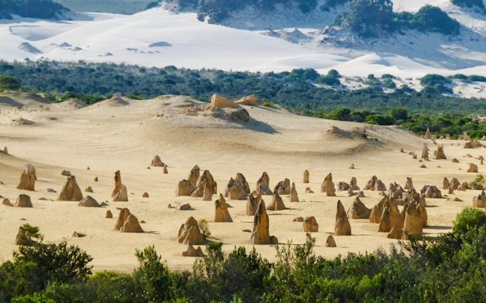 Pinnacles Desert limestone formations in Nambung National Park, Western Australia.