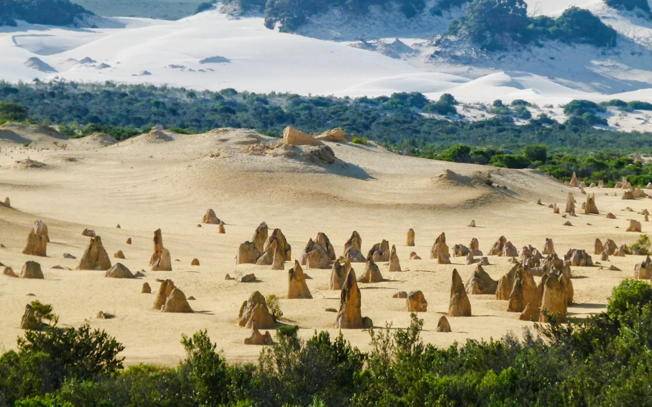 Pináculos, sandboarding y avistamiento de fauna 4x4 con almuerzo y traslados de ida y vuelta — 7