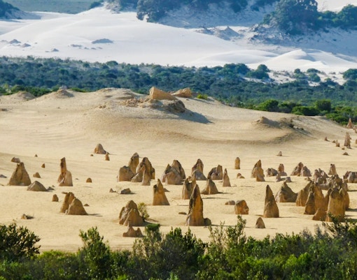 Pinnacles Desert limestone formations in Nambung National Park, Western Australia.