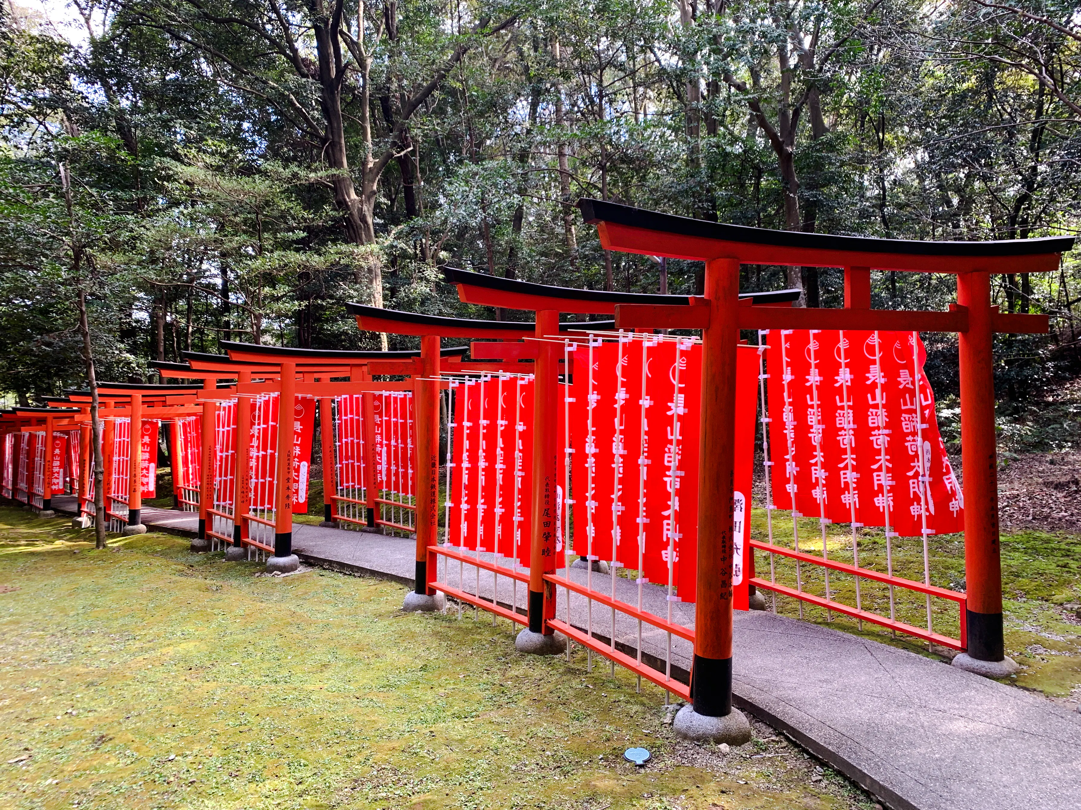 Red torii gates in a forest setting, part of the Asuka Nara Historical E-bike tour, Nara.