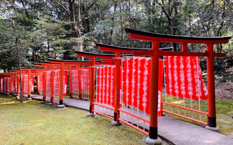Red torii gates in a forest setting, part of the Asuka Nara Historical E-bike tour, Nara.