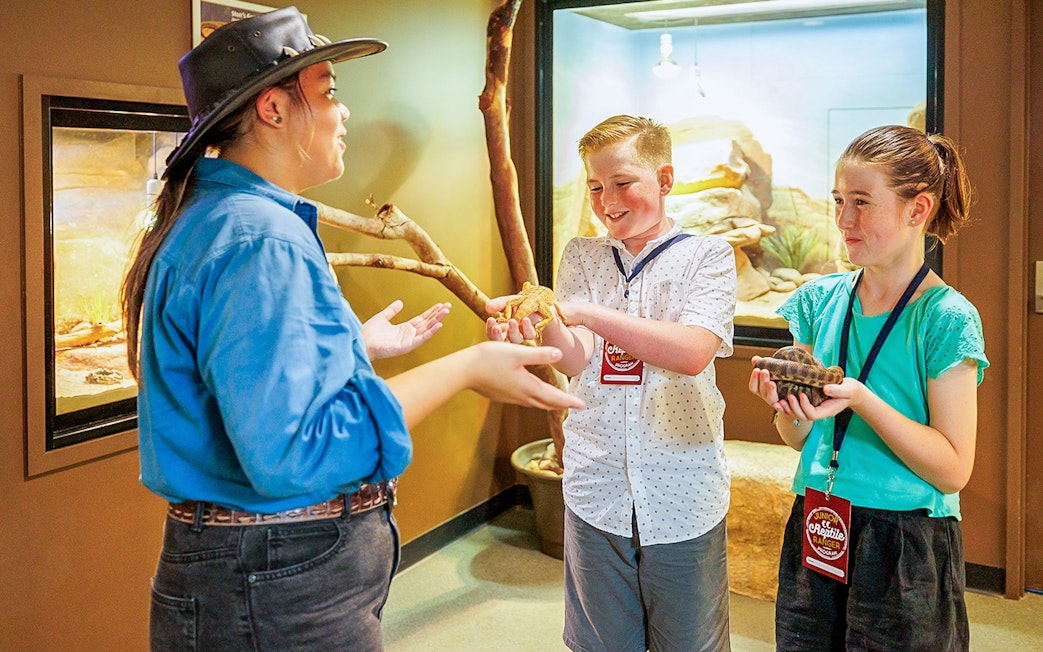 Crocosaurus Cove guide showing reptiles to children in Darwin, Australia.