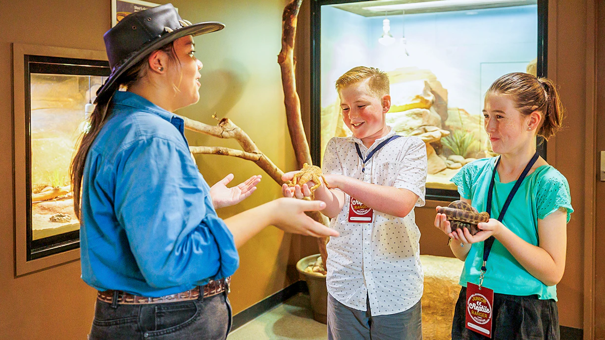 Crocosaurus Cove guide showing reptiles to children in Darwin, Australia.