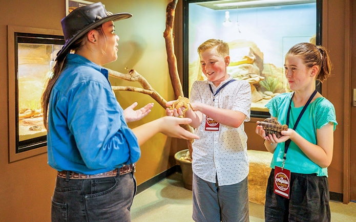 Crocosaurus Cove guide showing reptiles to children in Darwin, Australia.