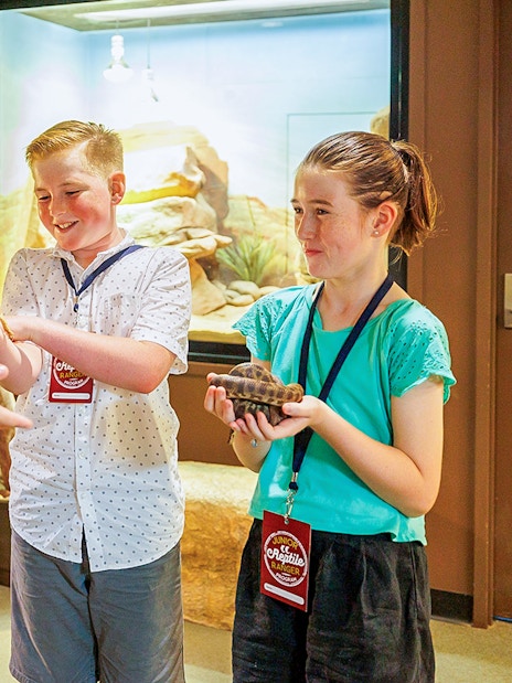 Crocosaurus Cove guide showing reptiles to children in Darwin, Australia.