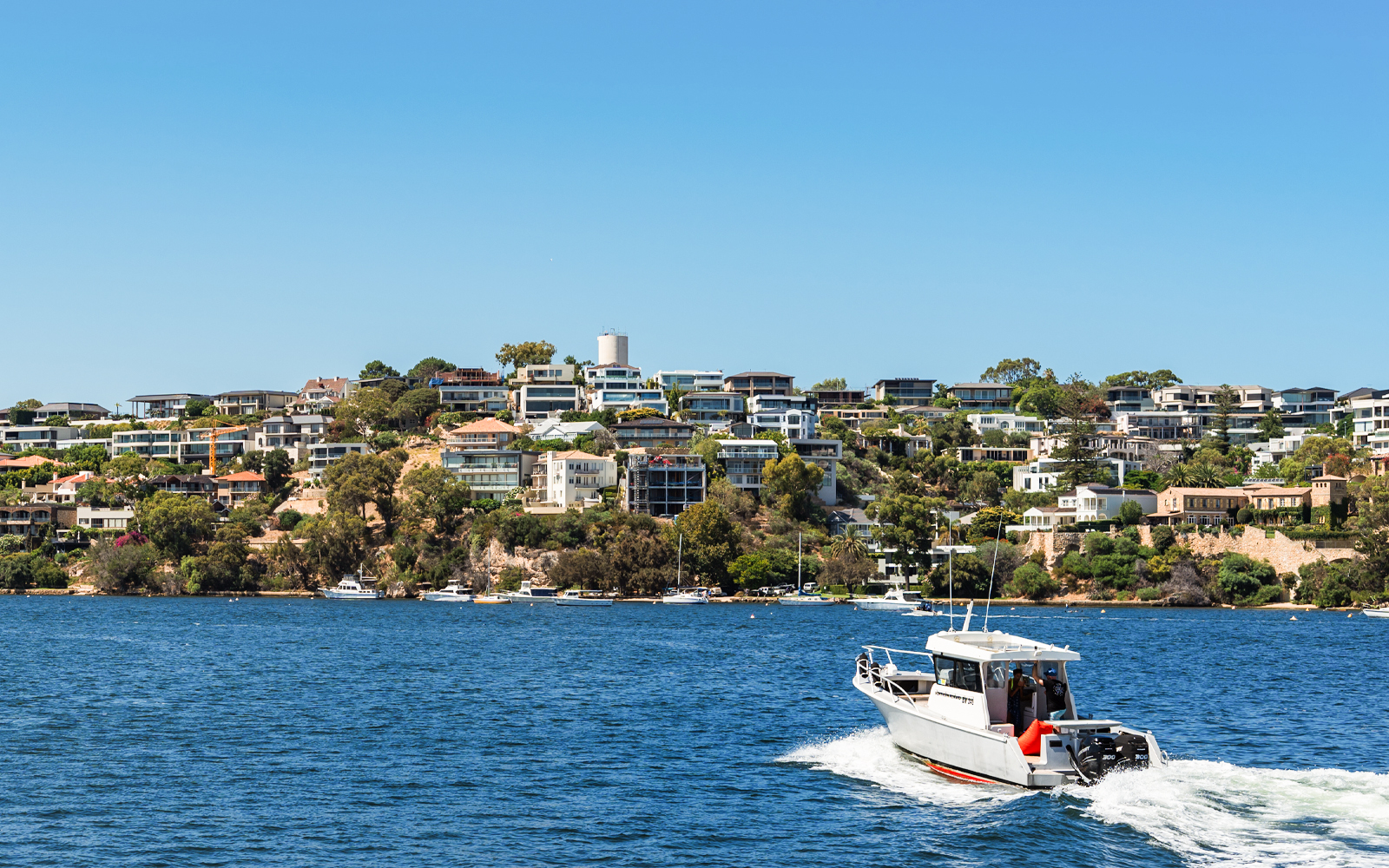 Mounts Bay Road & Millionaire's Row