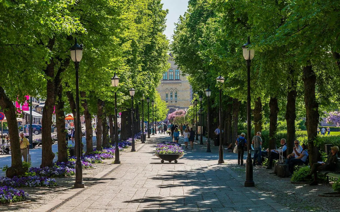 Tree-lined walkway in Oslo with people strolling and dining, part of a small-group walking tour.