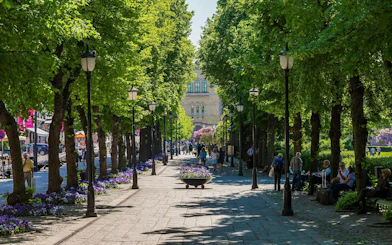 Tree-lined walkway in Oslo with people strolling and dining, part of a small-group walking tour.