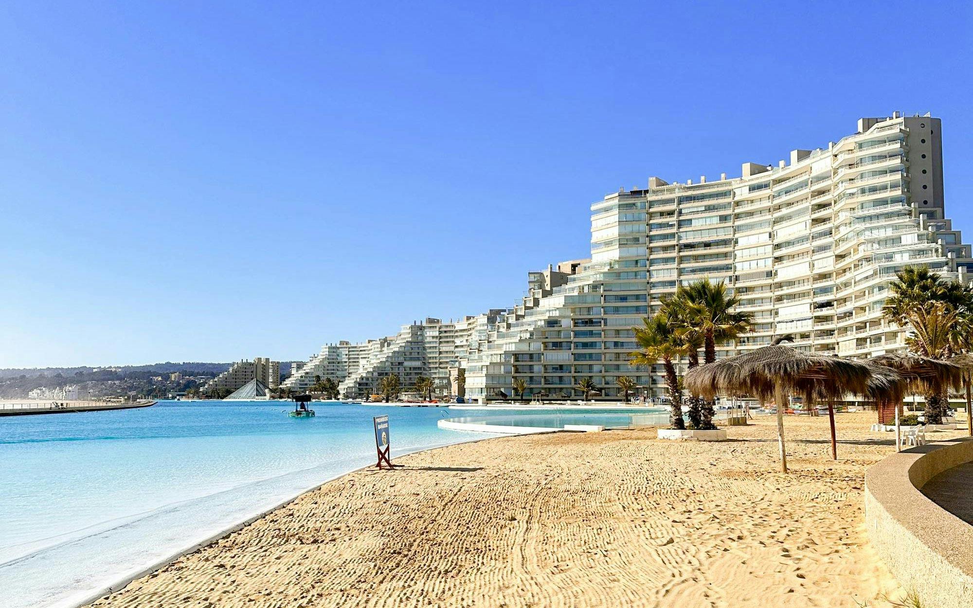 Algarrobo
