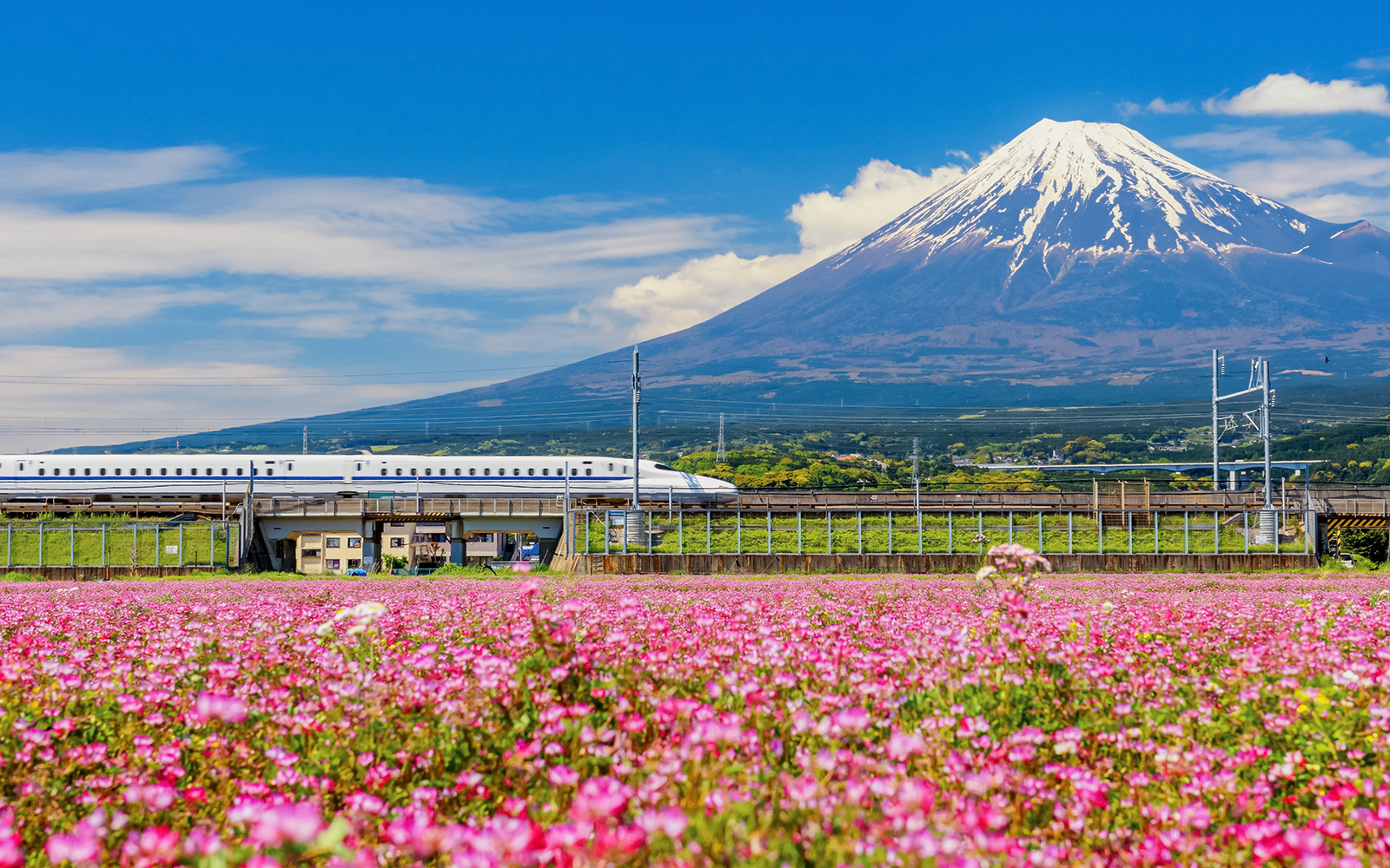 Shinkansen by Mount Fuji