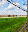 Auschwitz II-Birkenau
