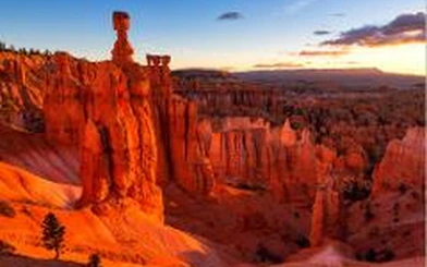 Bryce Canyon hoodoos at sunset during Vegas luxury tour.