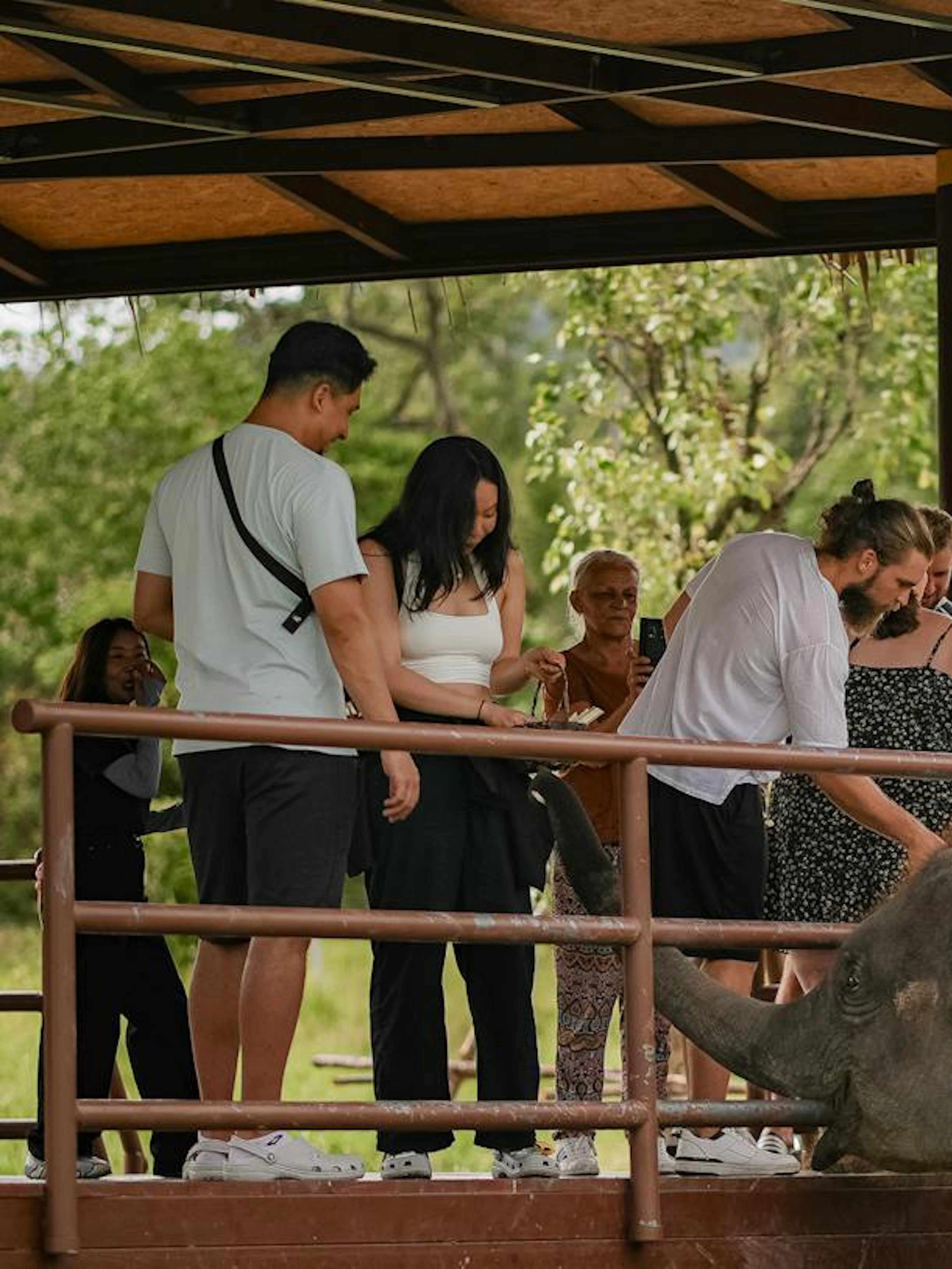 Visitors interacting with elephants at Samui Elephant Conservation, Koh Samui.
