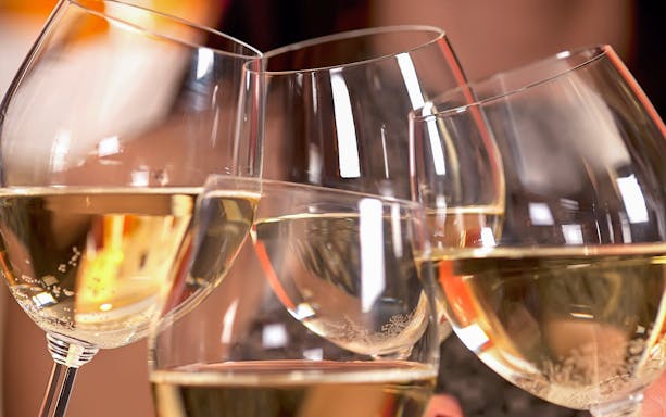 Wine glasses toasting on Yarra Valley and Dandenong Ranges day tour.
