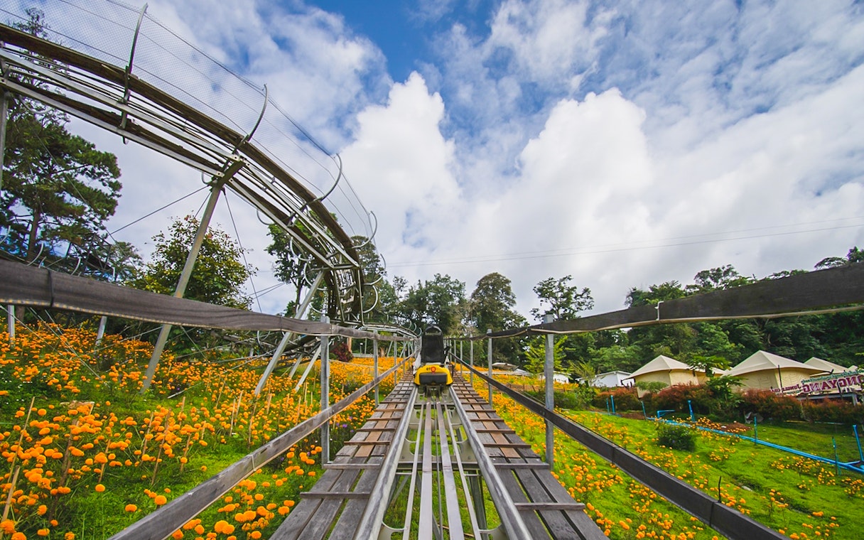 Coaster ride through vibrant flower fields and lush greenery.