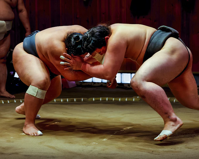 Sumo Show with a Retired Wrestler & Tonkatsu Lunch · Sumida