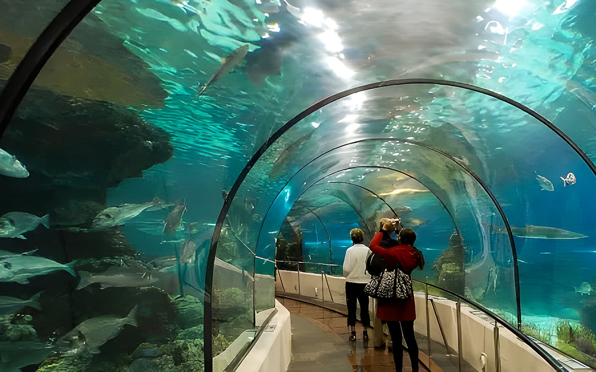 Visitors walking through underwater tunnel at Hurghada Grand Aquarium.