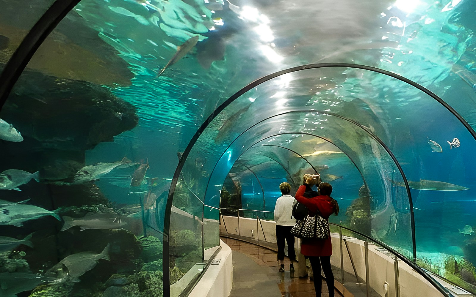 Visitors walking through underwater tunnel at Hurghada Grand Aquarium.