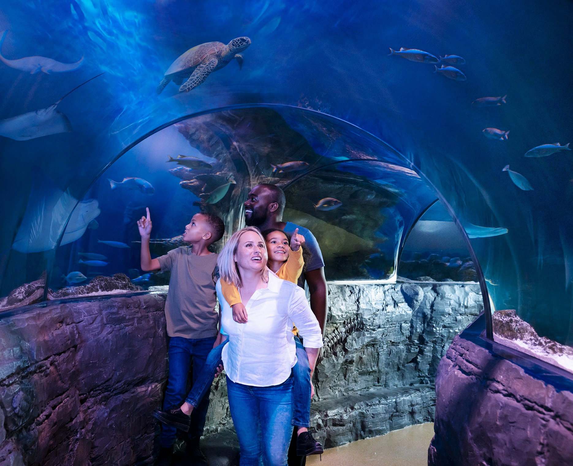 Family exploring underwater tunnel at Sea Life London with fish and turtles overhead.