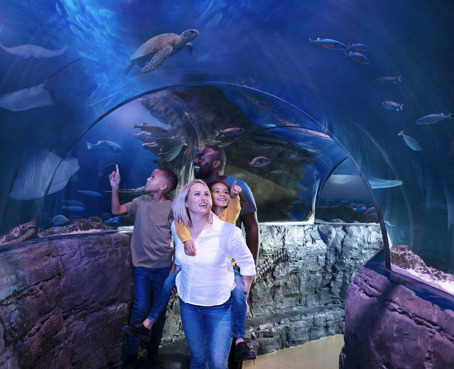 Family exploring underwater tunnel at Sea Life London with fish and turtles overhead.