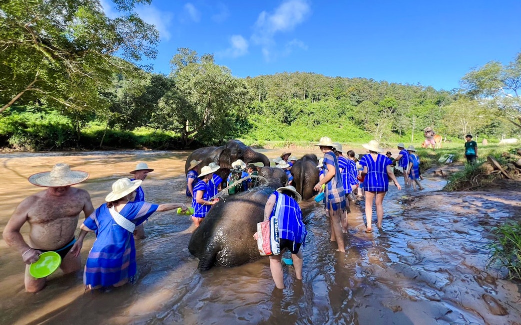 Tourists and guides bathe elephants in a river at Chiang Mai sanctuary.