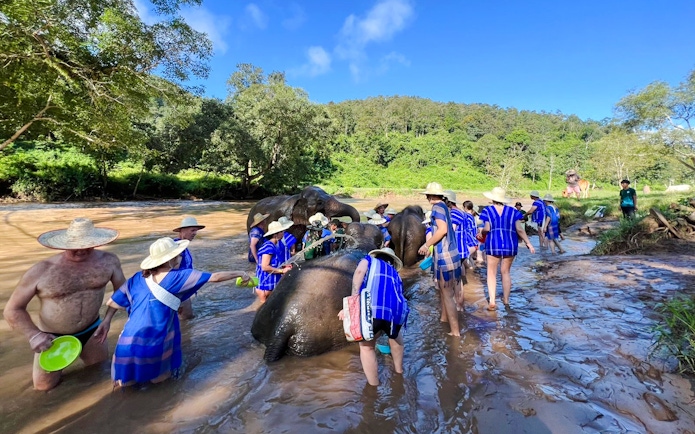 Tourists and guides bathe elephants in a river at Chiang Mai sanctuary.