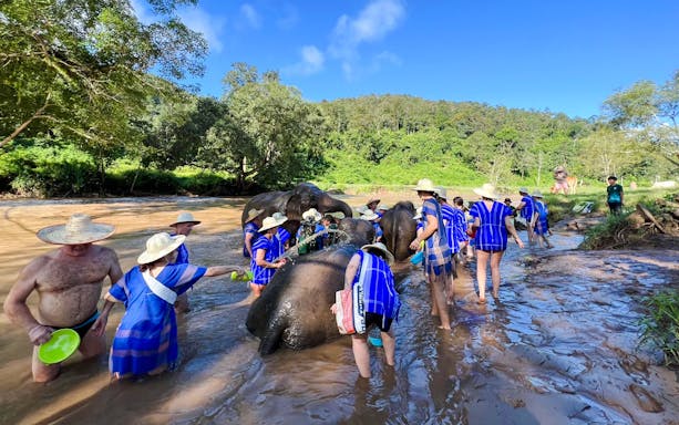 Tourists and guides bathe elephants in a river at Chiang Mai sanctuary.