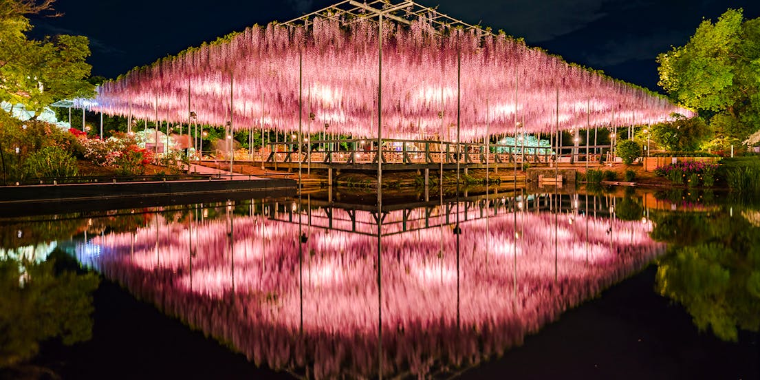Ashikaga Blumenpark